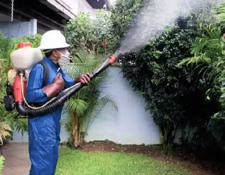 ELIMINACIÓN DE DESPERDICIOS