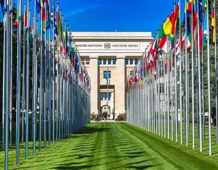 ARTICULOS MEDICOS Y FARMACEUTICOS