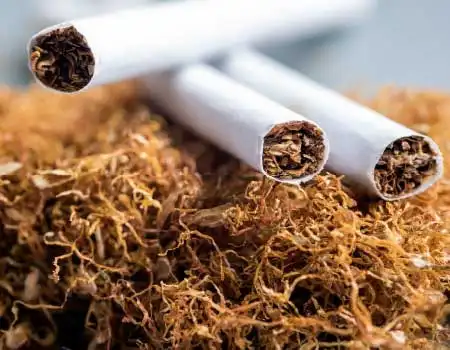 IMPRESIÓN, EDICION Y LIBROS