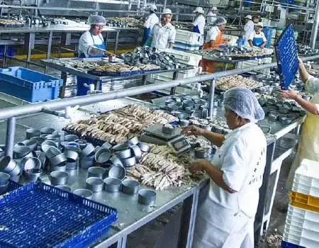 INDUSTRIAS MANUFACTURERAS NO CLASIFICADOS