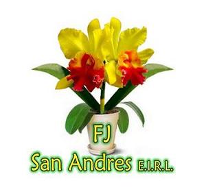 FJ SAN ANDRES E.I.R.L., SATIPO, sustratos, musgo, moss, sphagnum moss, turba, anuncia gratis, anuncios clasificados Perú, clasificados Lima, clasificados Arequipa, crea anuncios gratis, directorio empresarial Perú, empresas peruanas SUNAT, RUC empresas Perú, negocios Perú, Pyme Remype, registro gratis empresas, consulta RUC SUNAT, empresas online Perú, marketing digital Perú, publicidad online Perú, anuncia en línea Perú, redes sociales Perú, empresas innovadoras Perú, hoteles Lima, hoteles Arequipa, restaurantes Perú, bolsa de trabajo Perú, empresas de seguridad Perú, tipo de cambio dólar Perú