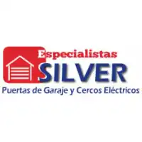 RUC 10455226932 - empresa especialistas silver