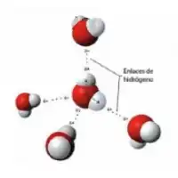 Anuncia en Línea | Publica tu Negocio Gratis y Aumenta tu Visibilidad - RUC 20563544849 - Adesco Perú SAC